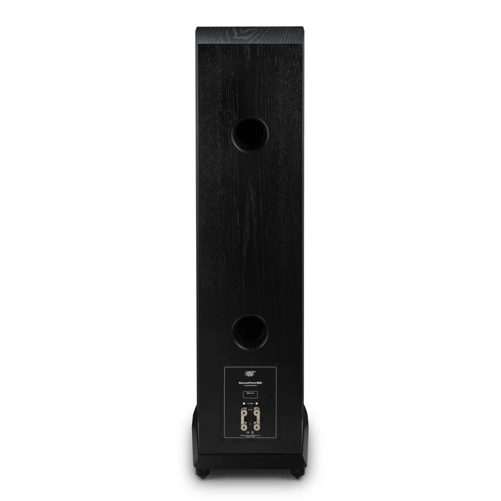 0018_MoFi_SourcePoint_888_Loudspeakers_Black_Rear.png MoFi SourcePoint 888 zwart achter